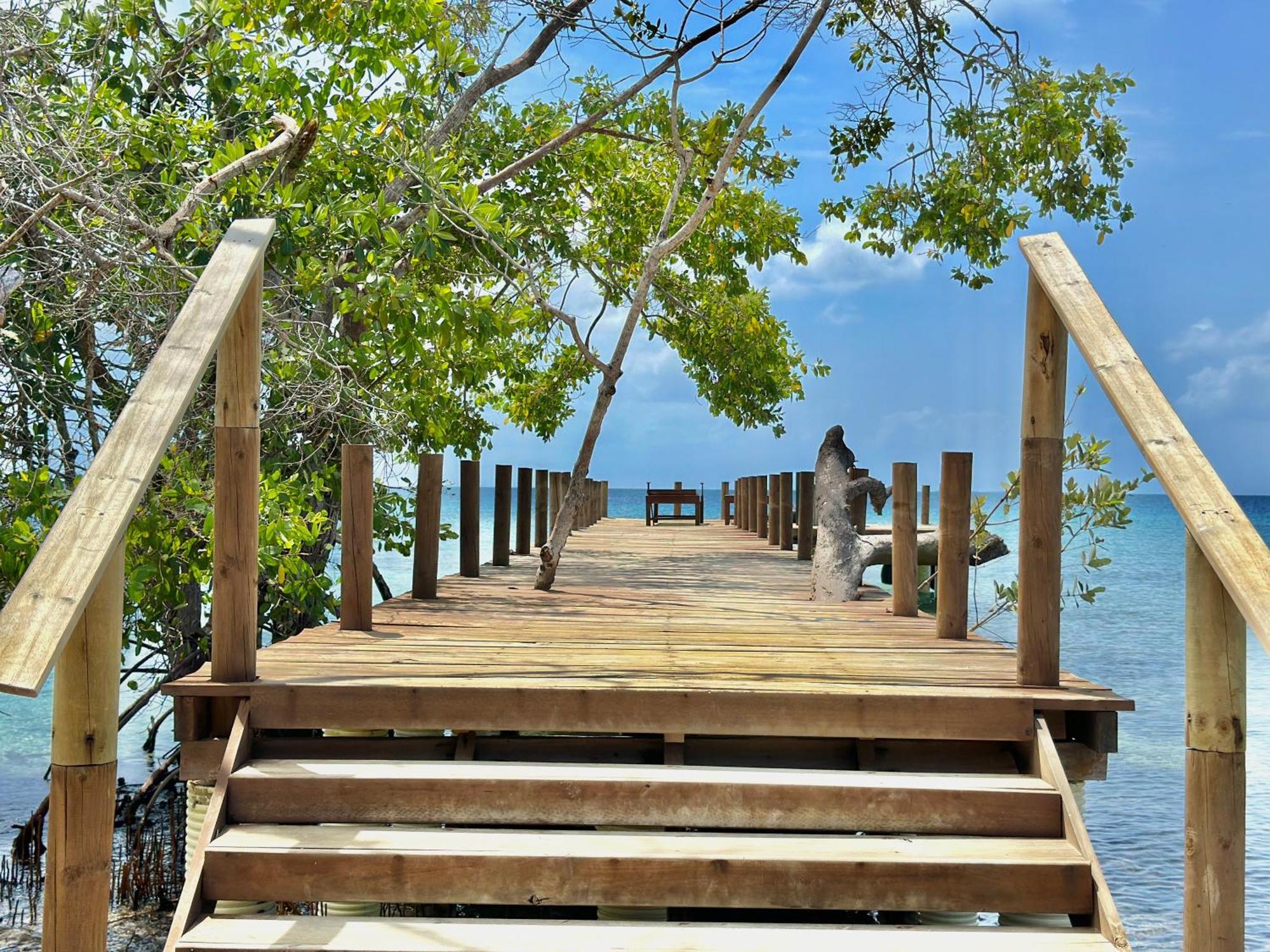 Medusa Hostel Isla Tintipan Tintipan Island Экстерьер фото